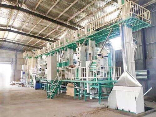 100TPD rice processing plant for sale