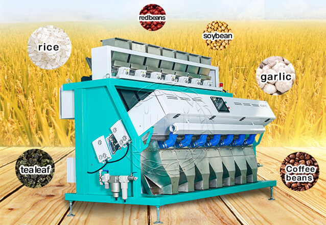 rice color sorter-rice mill plant