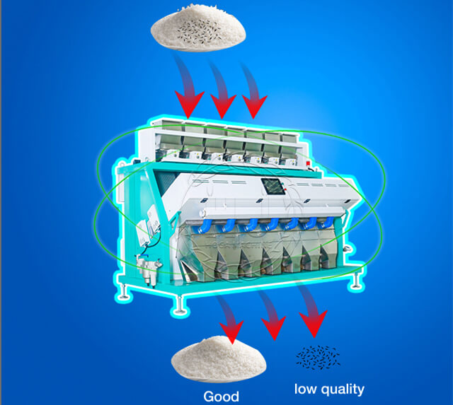 rice color sorter workflow-rice mill plant
