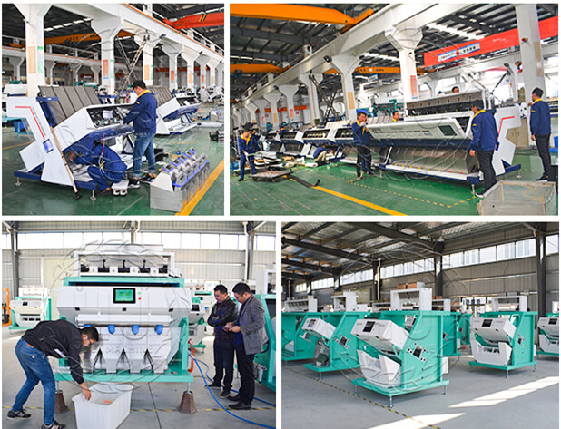 rice color sorter assembly workship-rice mill plant