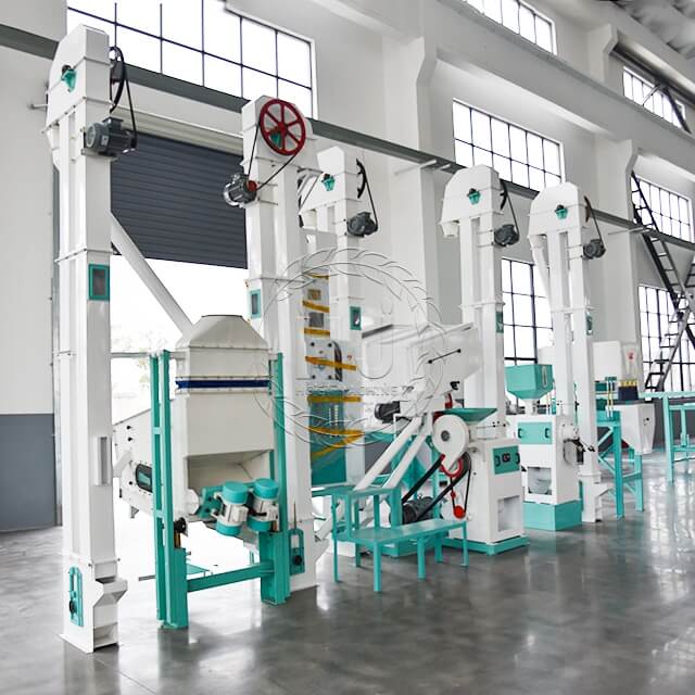 rice processing machine cost-hongjiamachinery